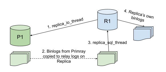 replication in motion